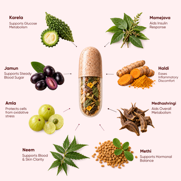 Aadar Ayurveda Bloom Care Capsules | Women's Hormonal Balance & Cycle Support | 60 Capsules, 500 mg