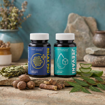 AADAR Ayurveda Body Detox Combo Pack <br> (2 x 60 Capsules)