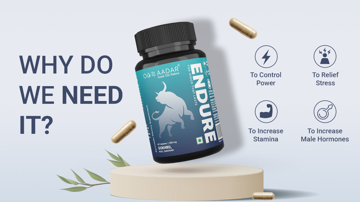 AADAR Ayurveda Endure Capsule <br> (60 Capsules) A+ Banner