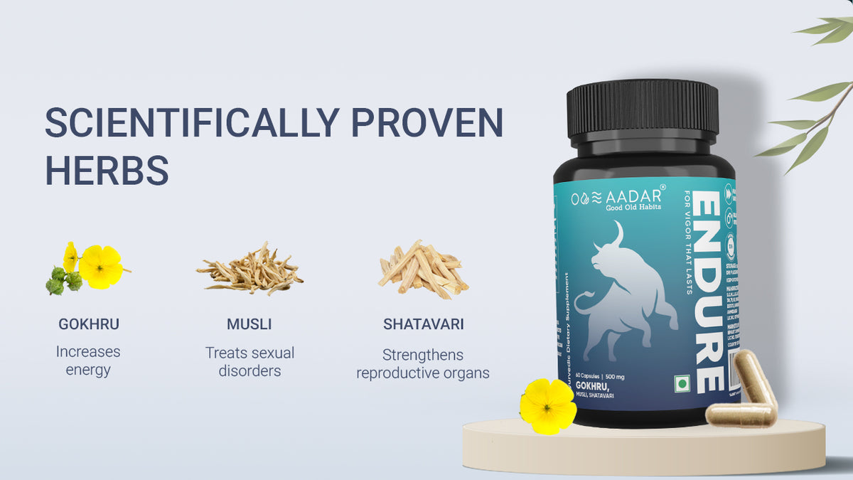 AADAR Ayurveda Endure Capsule <br> (60 Capsules) A+ Banner