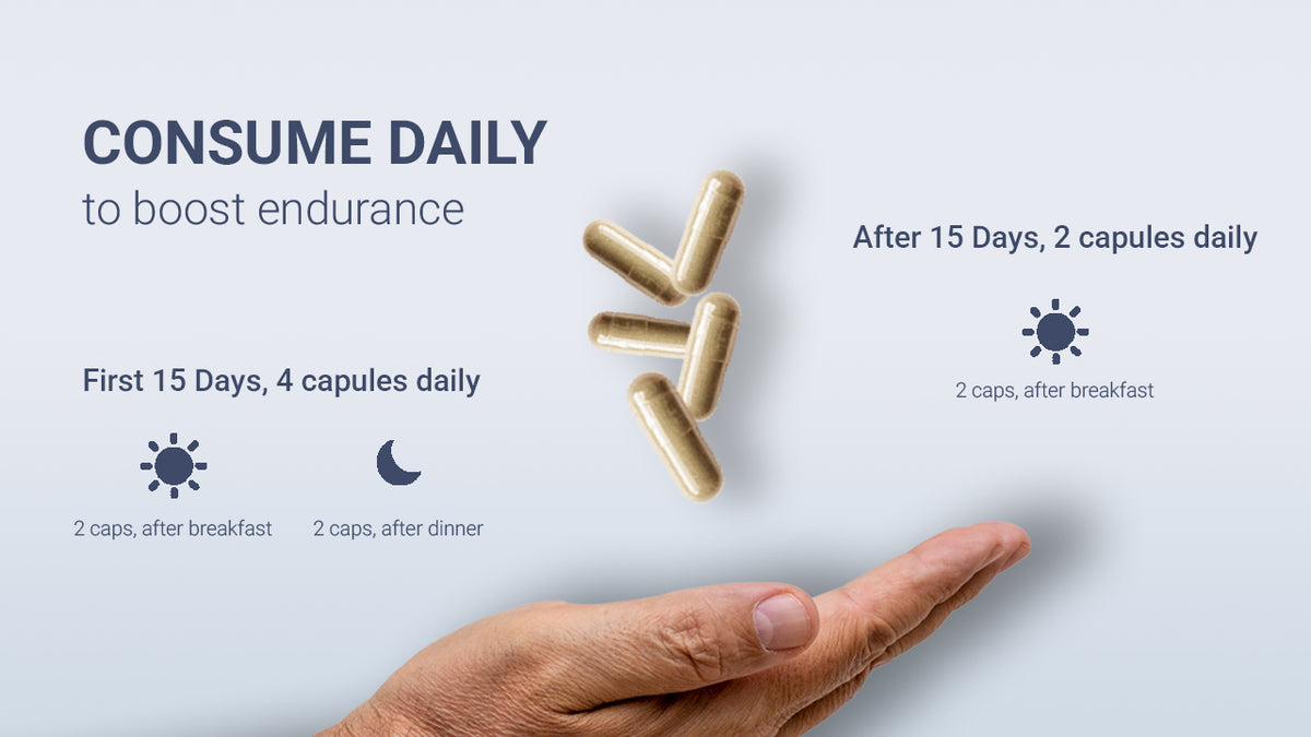 AADAR Ayurveda Endure Capsule <br> (60 Capsules) A+ Banner