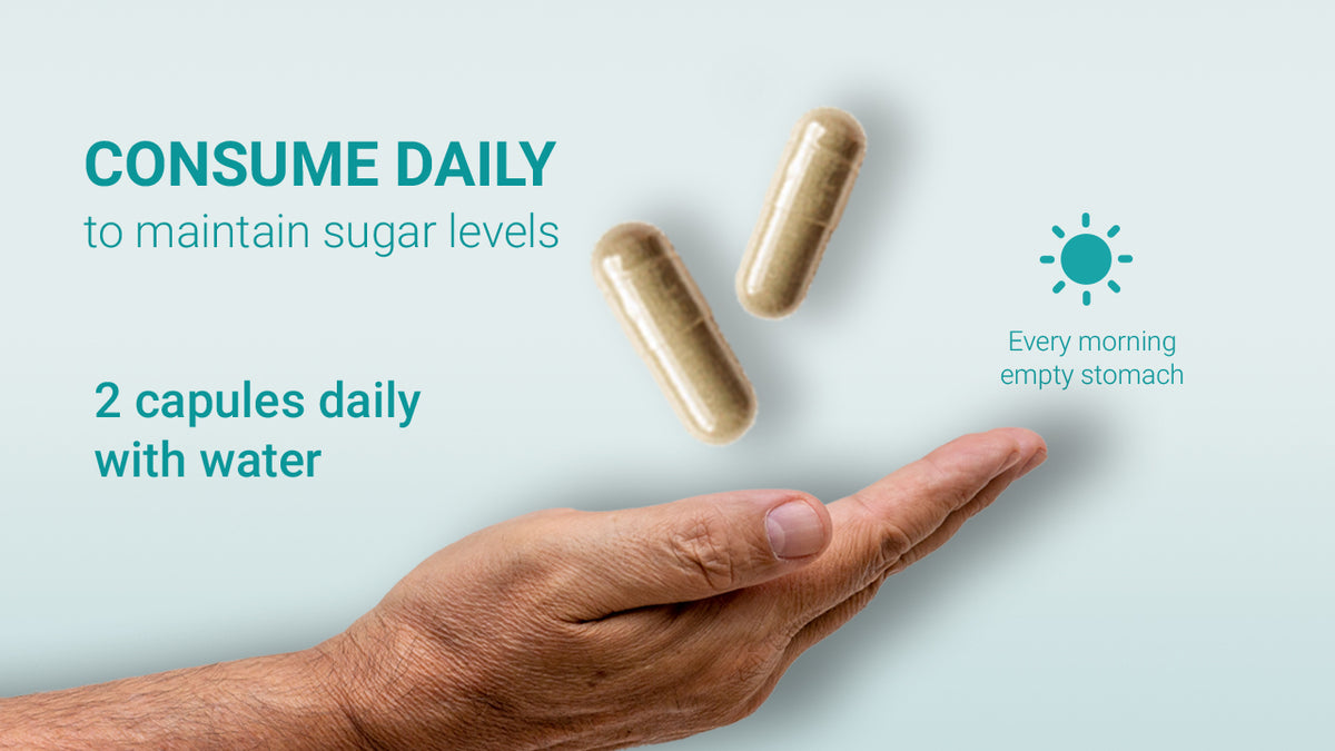 AADAR Ayurveda Jeevani Capsule  (Diabetes Control) <br> (60 Capsules) A+ Banner