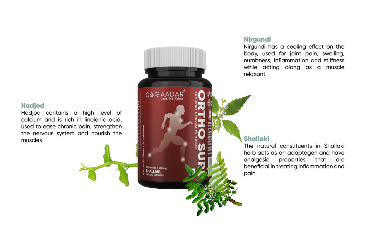 AADAR Ayurveda Ortho Sure Pain Capsule for Joint and Muscle Pain Relief<br> (60 Capsules) A+ Banner